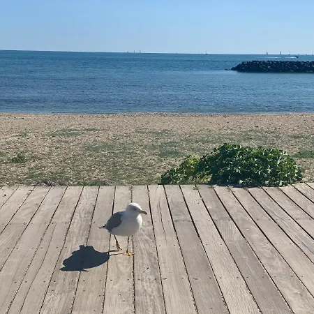 Apartment Studio Face A La 4 Couchages - Gratuits Piscine Tennis Et Un Parking Prive Rare Et Tres Utile - Vue Magnifique Sur La - Agreable En Toutes Saisons Ile Des Pecheurs - La Brigantine - Emplacement Et Vue Rares Au Cap D'agde *